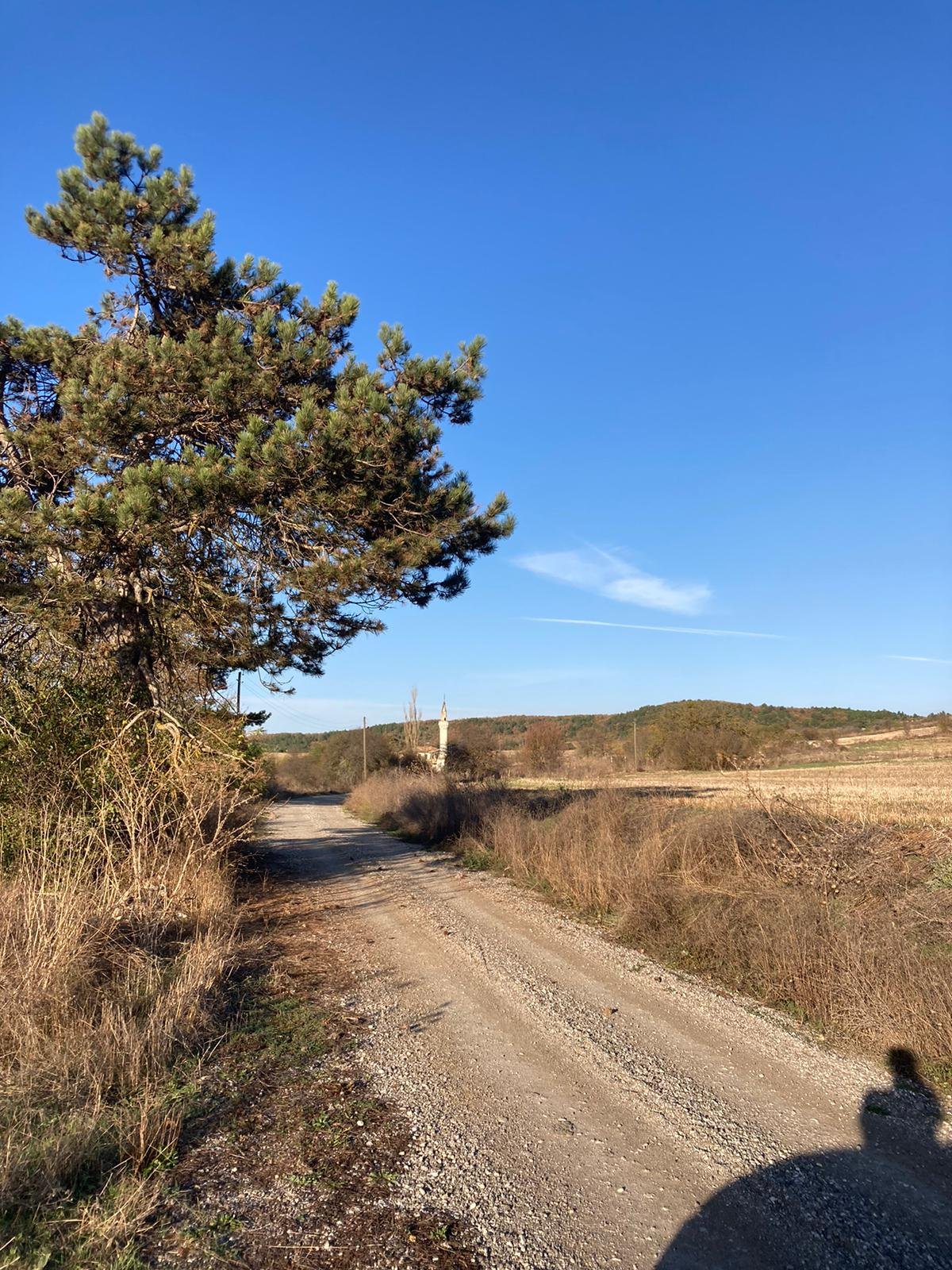 WhatsApp Image 2023-11-08 at 14.31.49 (1)