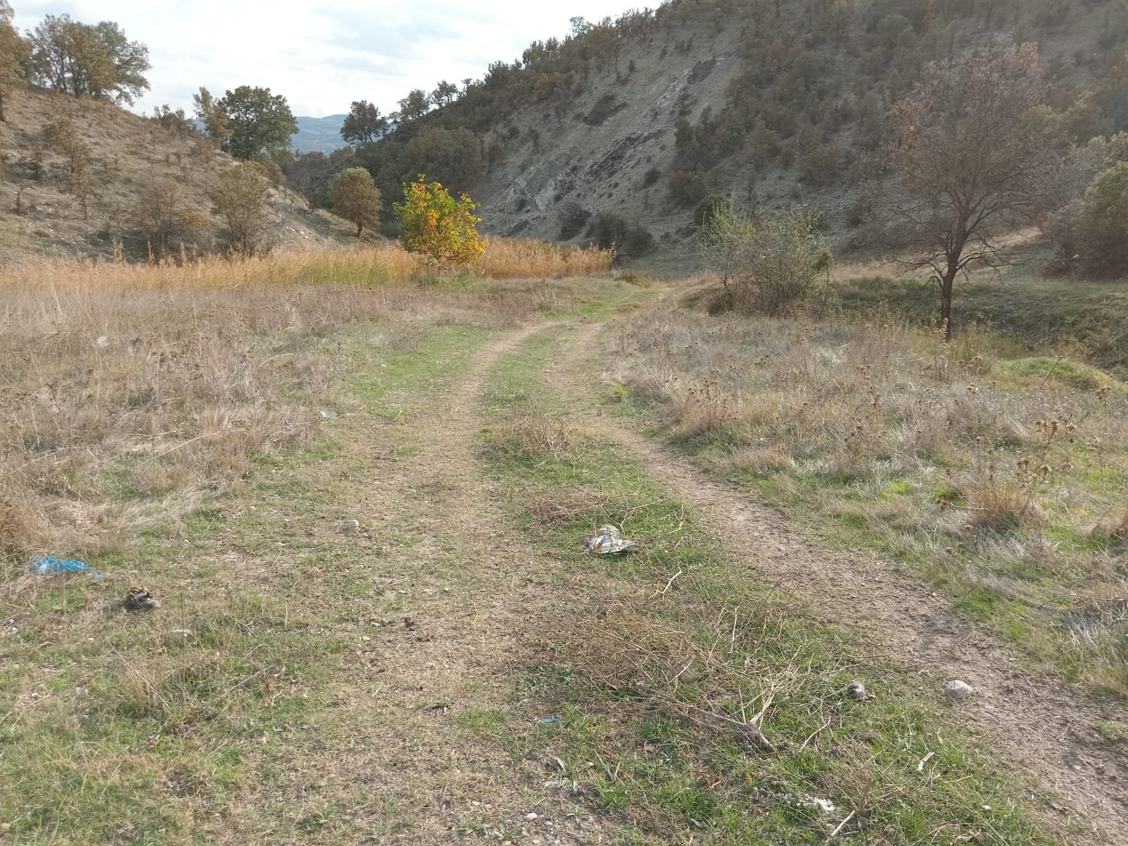 WhatsApp Image 2023-11-16 at 13.42.24