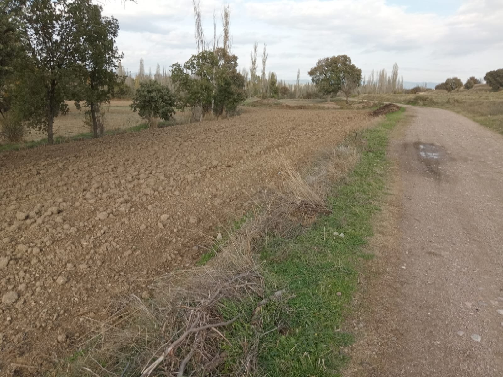 WhatsApp Image 2023-11-16 at 13.42.28 (1)