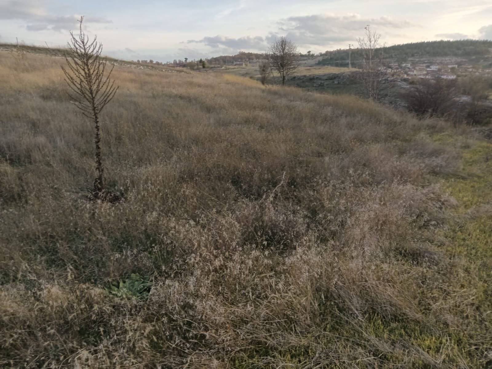 WhatsApp Image 2023-11-16 at 13.42.40