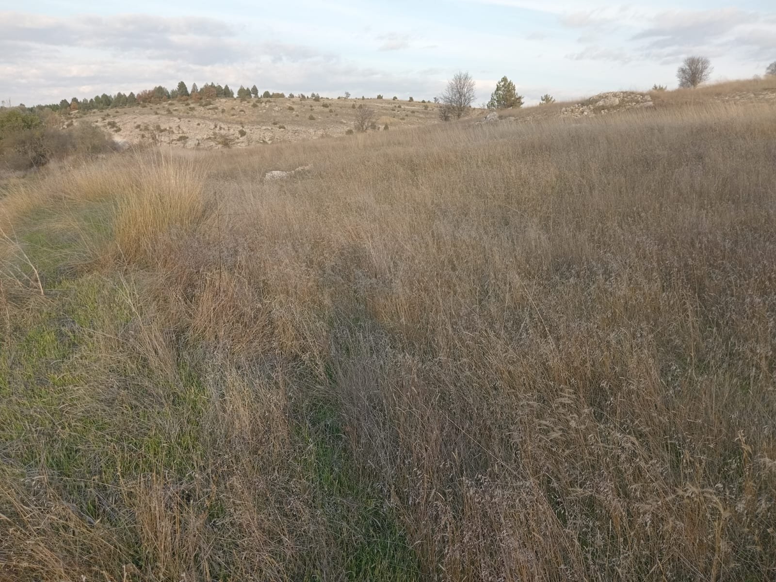 WhatsApp Image 2023-11-16 at 13.42.44