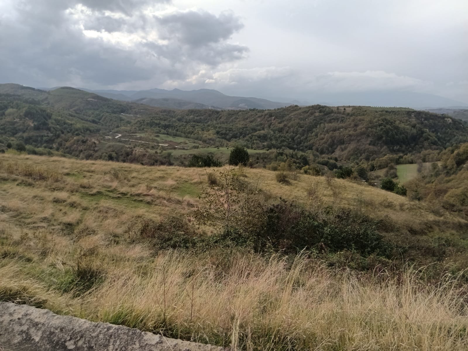 WhatsApp Image 2023-11-16 at 13.42.58