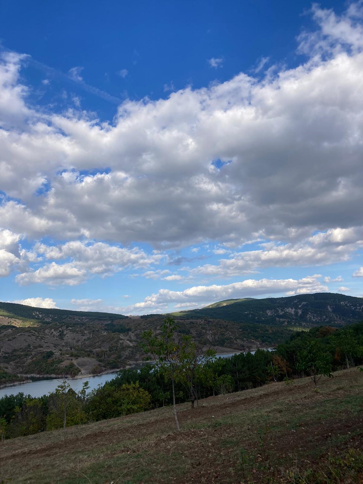 Ucuz Satılık Arsa Sakarya (Tarla)