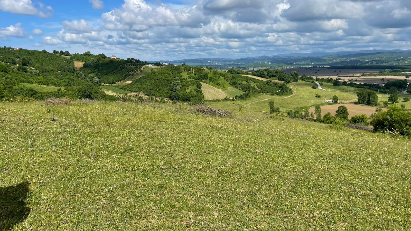 WhatsApp Image 2024-01-08 at 17.29.27 (1)