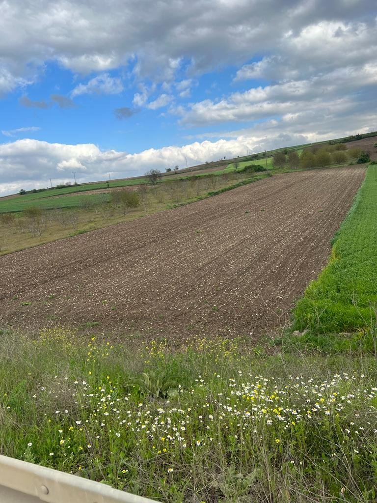 WhatsApp Image 2024-01-08 at 17.29.28