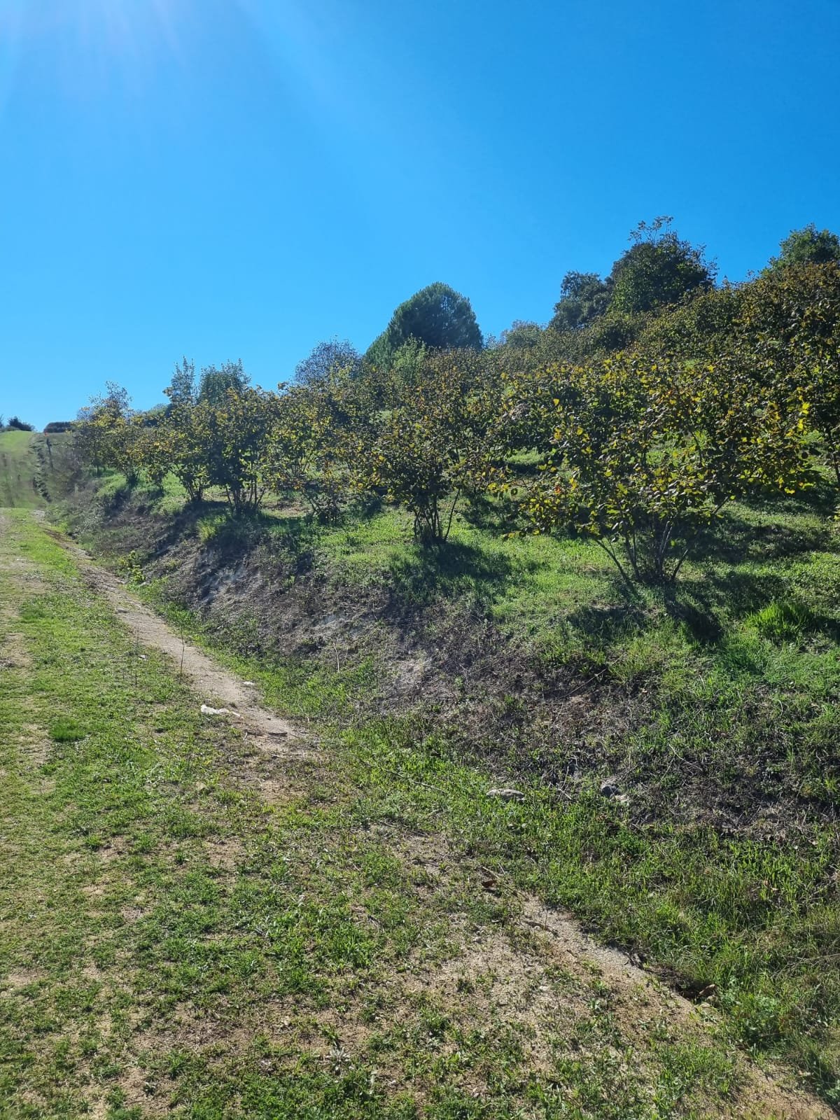 WhatsApp Image 2024-01-08 at 17.29.29 (1)