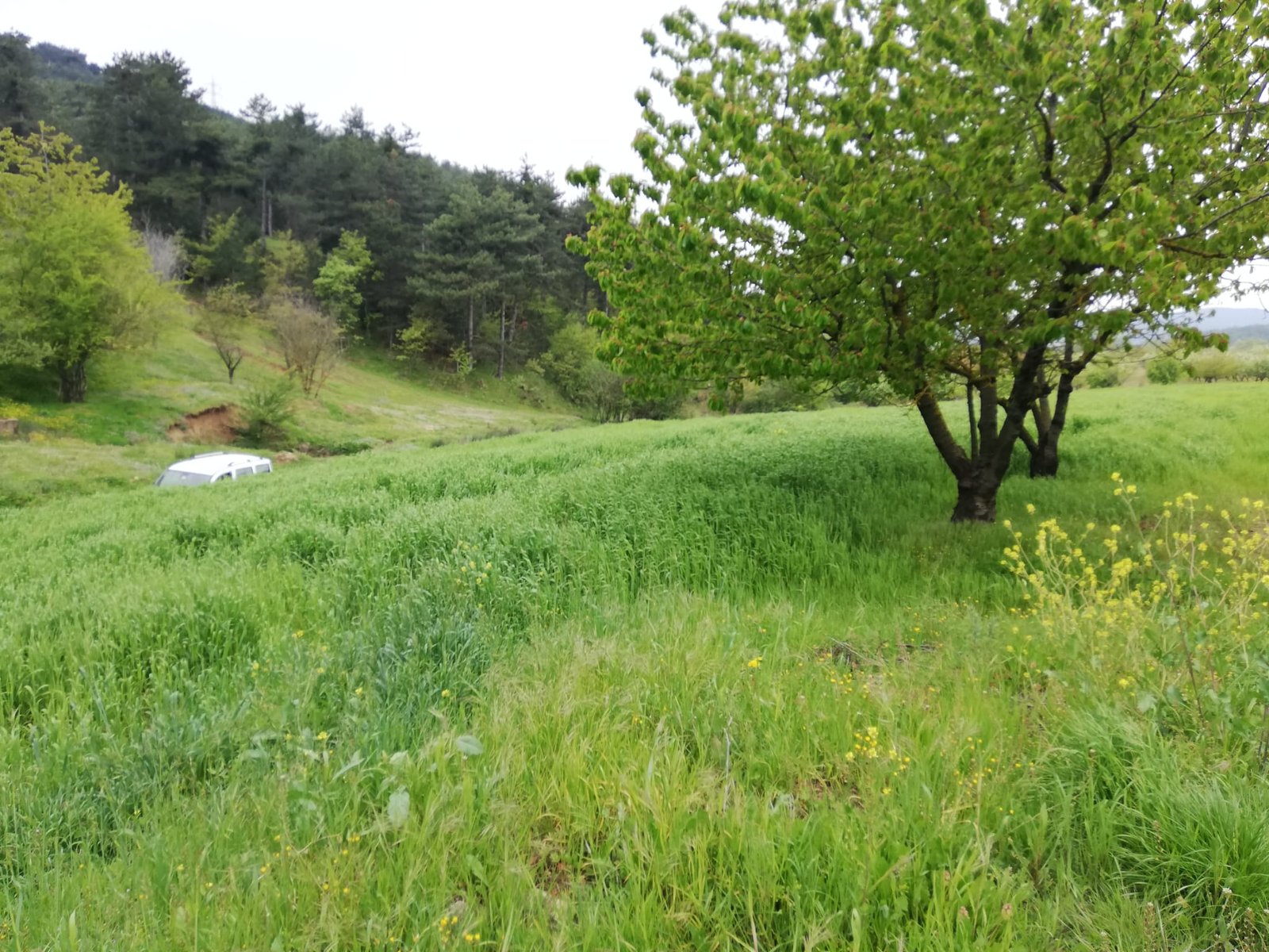 WhatsApp Image 2024-01-08 at 17.29.29