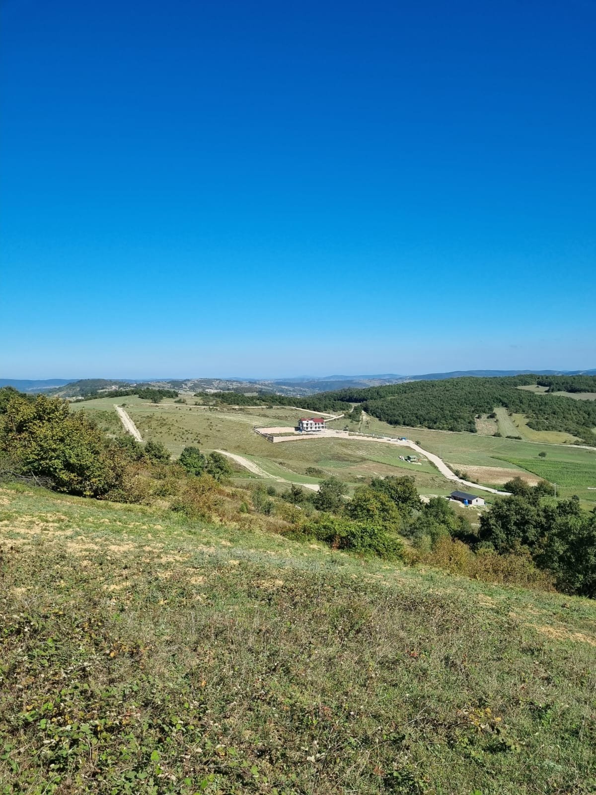 WhatsApp Image 2024-01-08 at 17.29.30 (1)